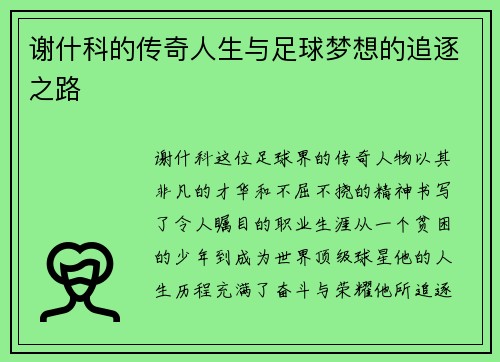 谢什科的传奇人生与足球梦想的追逐之路